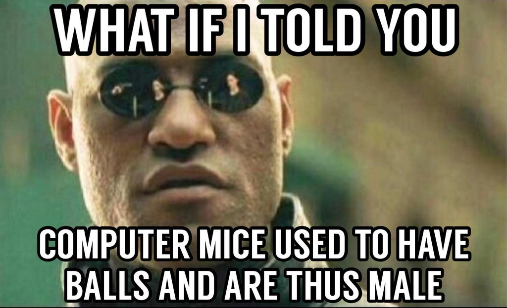 photo caption - What If I Told You Computer Mice Used To Have Balls And Are Thus Male