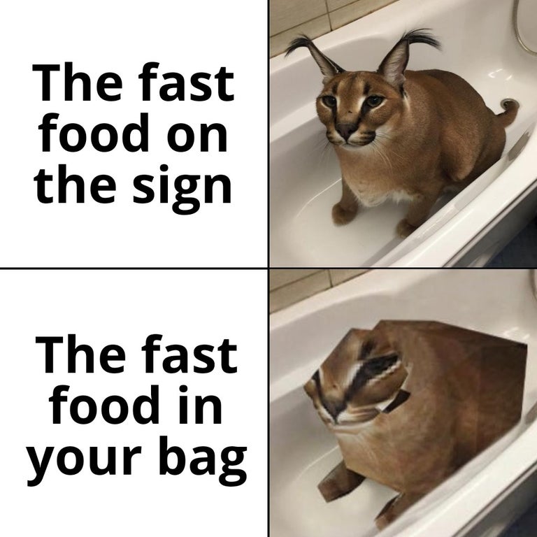 cat - The fast food on the sign The fast food in your bag