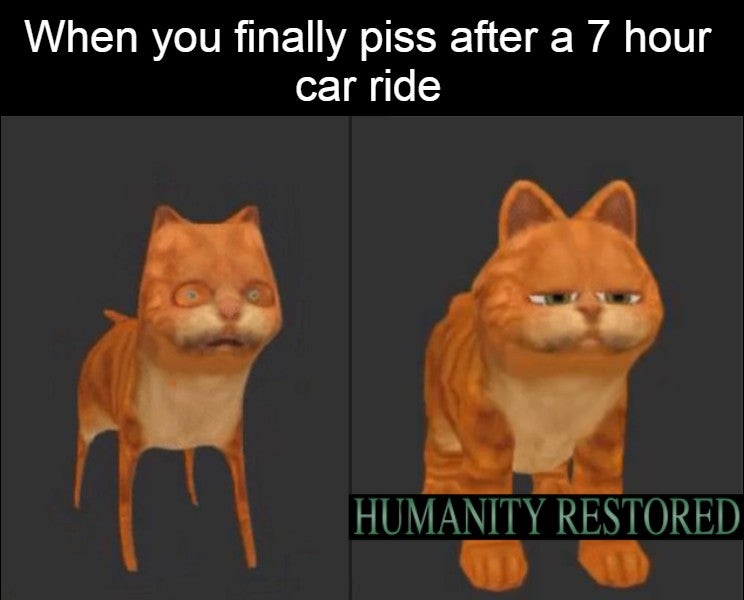humanity restored meme - When you finally piss after a 7 hour car ride mm Humanity Restored