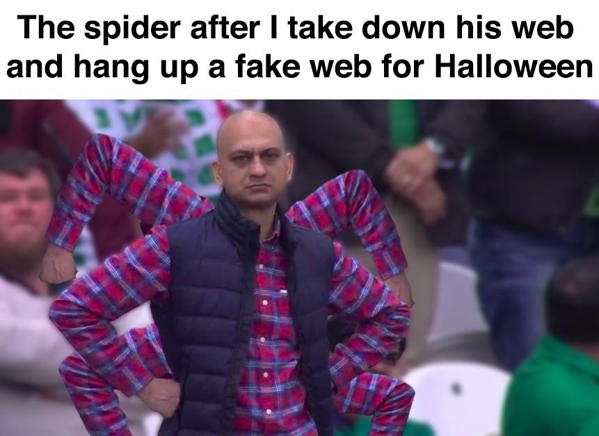 community - The spider after I take down his web and hang up a fake web for Halloween