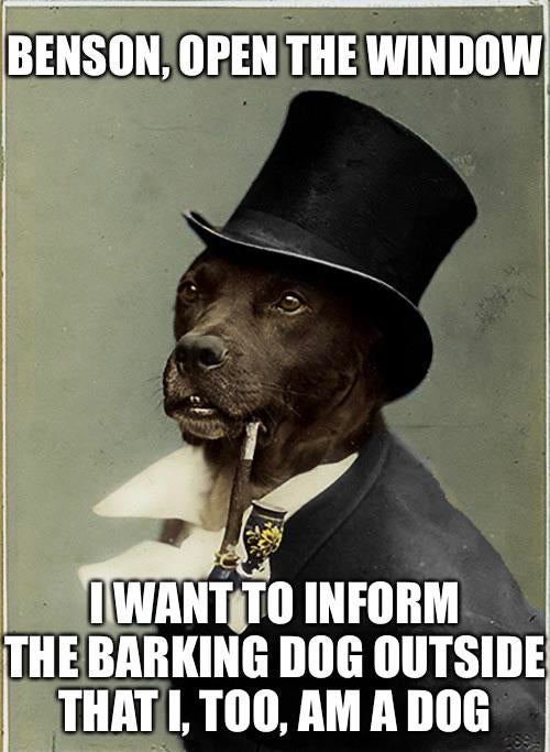 old money dog meme - Benson, Open The Window I Want To Inform The Barking Dog Outside That I, Too, Am A Dog