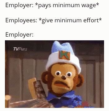 Internet meme - Employer pays minimum wage Employees give minimum effort Employer TVPeru