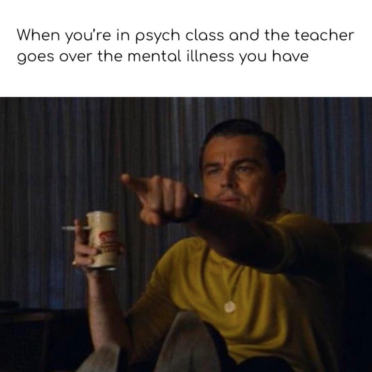 leonardo dicaprio meme template - When you're in psych class and the teacher goes over the mental illness you have 600