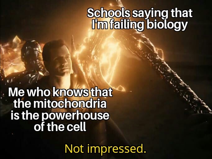 funny memes and random pics - Internet meme - Schools saying that I'm failing biology Me who knows that the mitochondria is the powerhouse of the cell Not impressed.