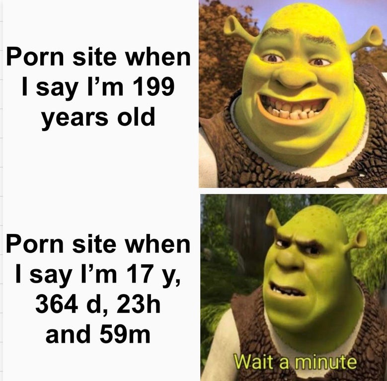 smile - Porn site when I say I'm 199 years old Porn site when I say I'm 17 y, 364 d, 23h and 59m Wait a minute