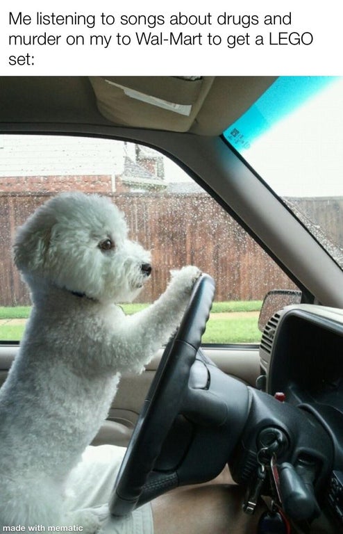 Dog - Me listening to songs about drugs and murder on my to WalMart to get a Lego set made with mematic