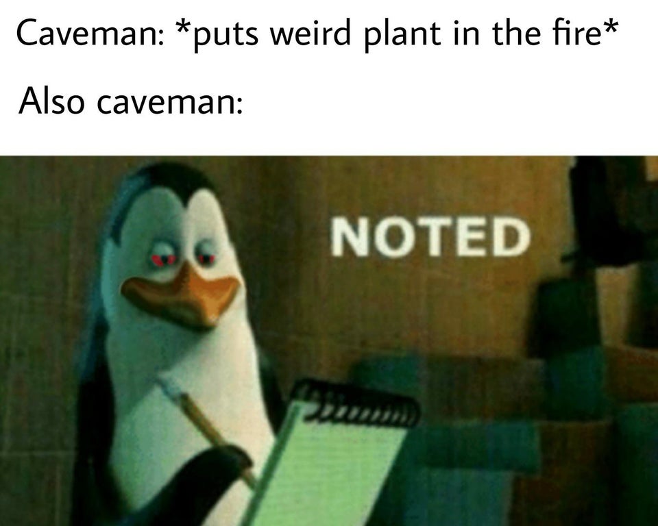 kowalski noted meme - Caveman puts weird plant in the fire Also caveman Noted