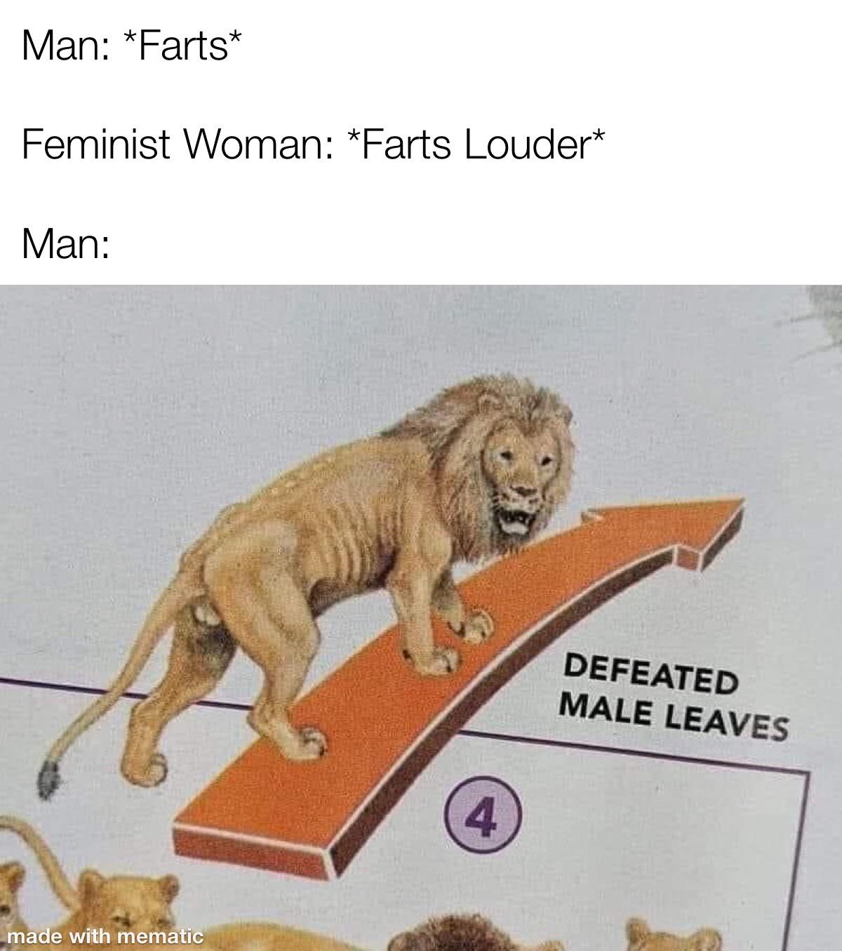 Internet meme - Man Farts Feminist Woman Farts Louder Man Defeated Male Leaves 4 made with mematic