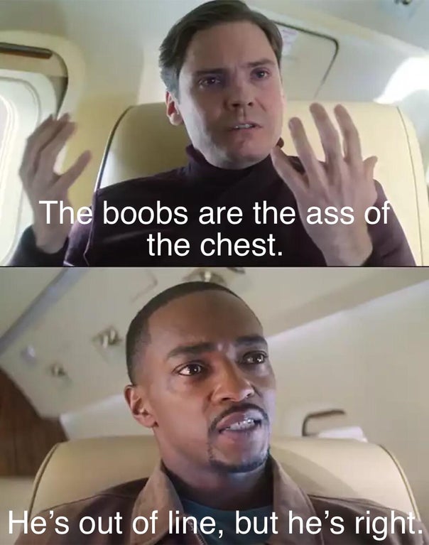 Internet meme - The boobs are the ass of the chest. He's out of line, but he's right.
