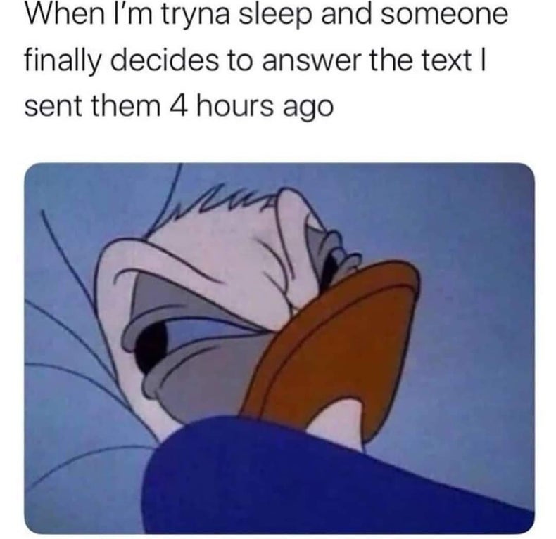 donald duck funny meme - When I'm tryna sleep and someone finally decides to answer the text | sent them 4 hours ago