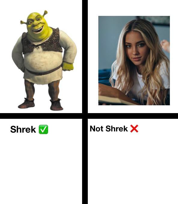 shrek get out of my swamp - Shrek Not Shrek X