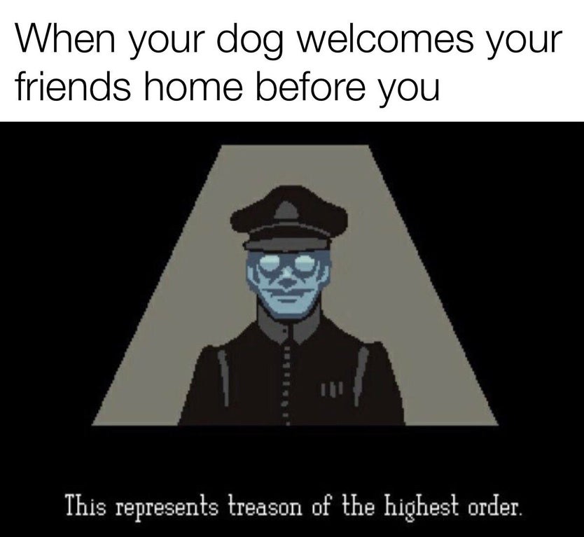 When your dog welcomes your friends home before you This represents treason of the highest order.