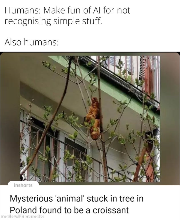tree croissant - Humans Make fun of Al for not recognising simple stuff. Also humans inshorts Mysterious 'animal' stuck in tree in Poland found to be a croissant made with mematic