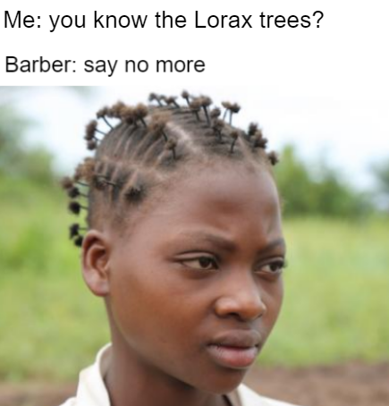 photo caption - Me you know the Lorax trees? Barber say no more
