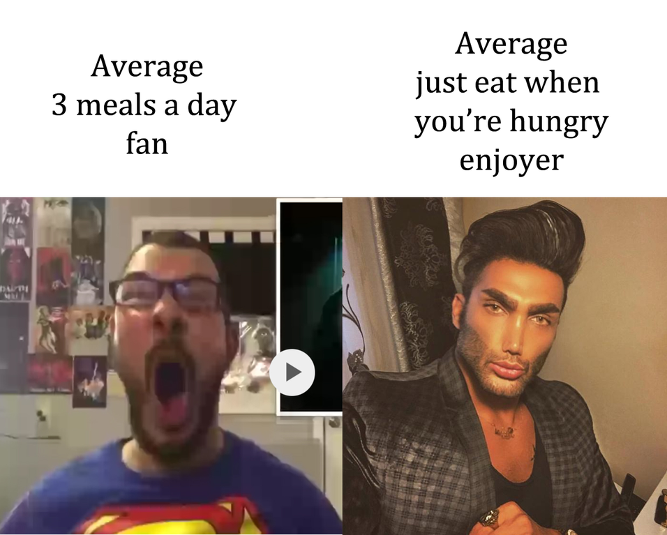 average fan vs average enjoyer - Average 3 meals a day Average just eat when you're hungry enjoyer fan D