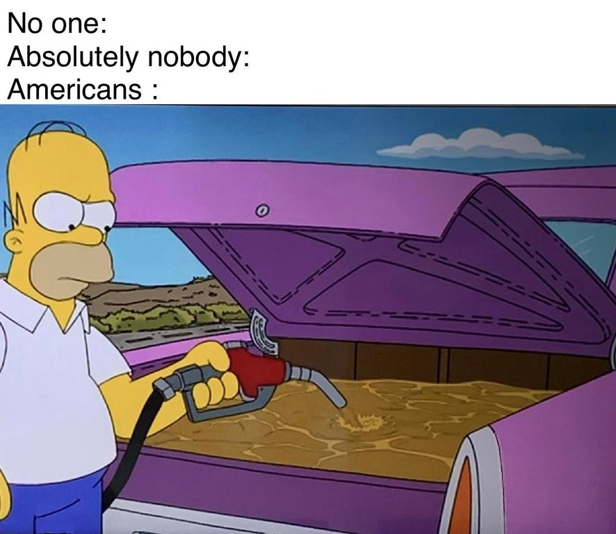 The Simpsons - No one Absolutely nobody Americans