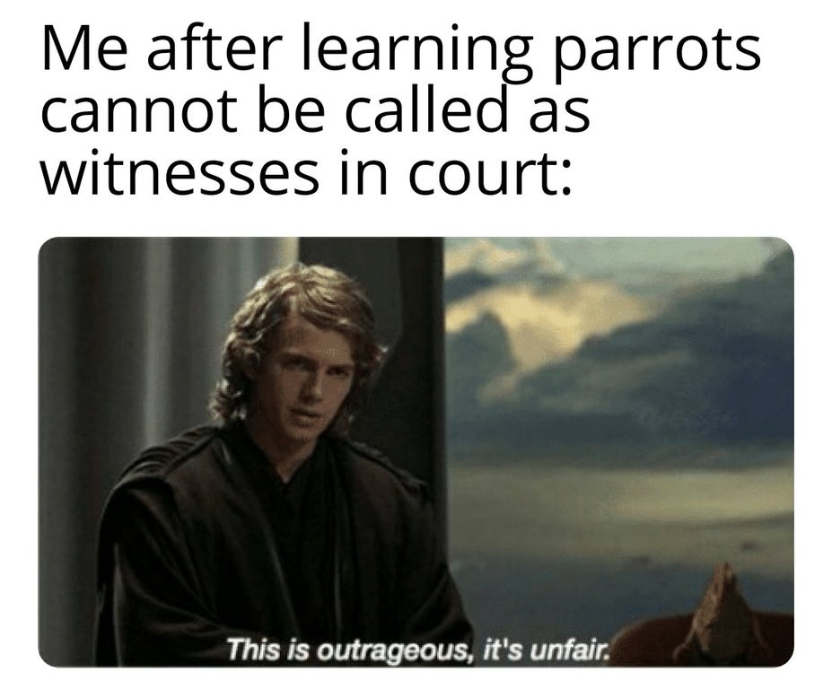 photo caption - Me after learning parrots cannot be called as witnesses in court This is outrageous, it's unfair.