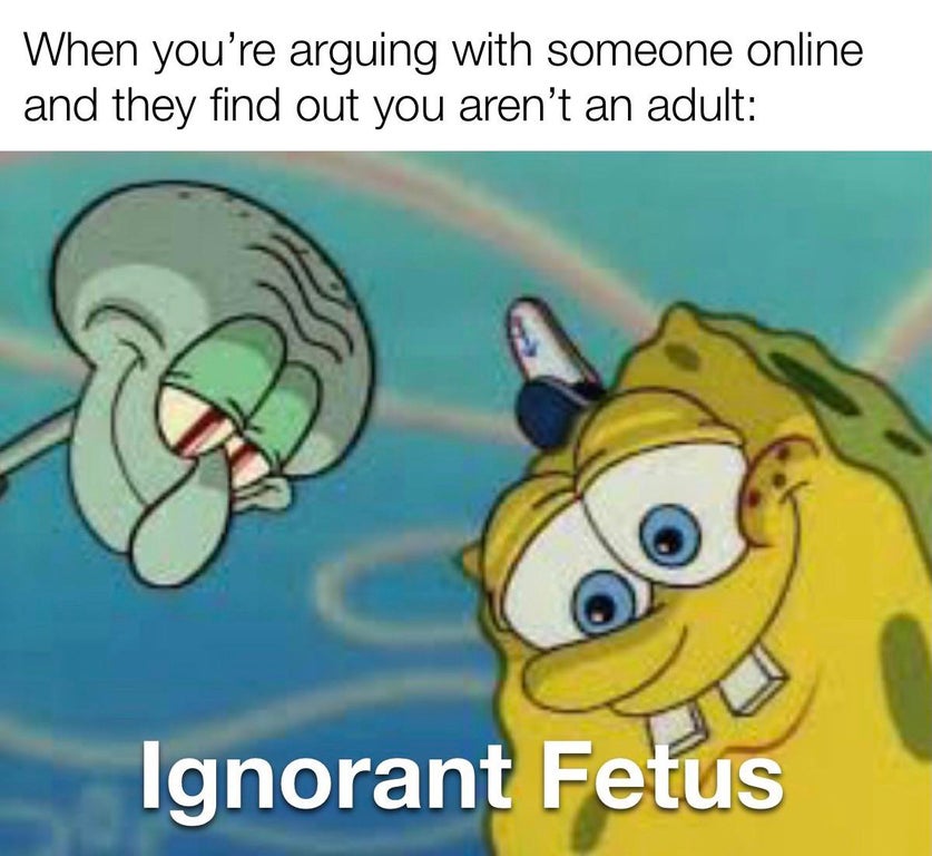 tampon dank meme - When you're arguing with someone online and they find out you aren't an adult Ignorant Fetus