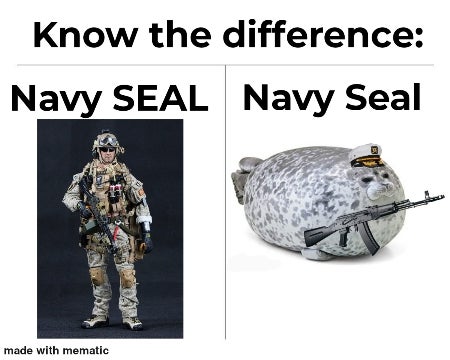 soldier - Know the difference Navy Seal Navy Seal made with mematic