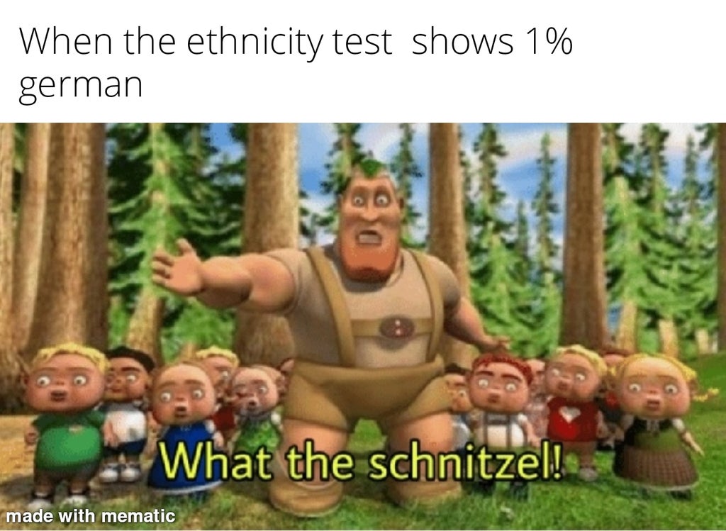 hoodwinked characters - When the ethnicity test shows 1% german What the schnitzel! made with mematic