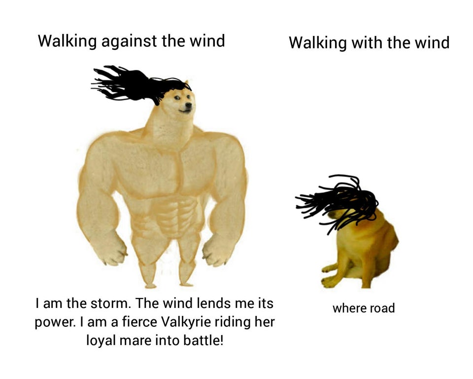 meme pokemon cards - Walking against the wind Walking with the wind where road I am the storm. The wind lends me its power. I am a fierce Valkyrie riding her loyal mare into battle!