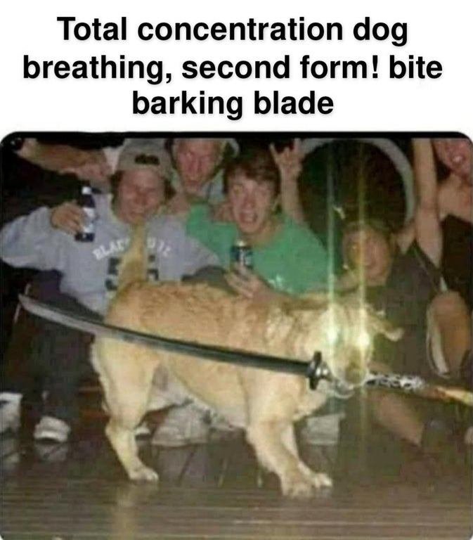 photo caption - Total concentration dog breathing, second form! bite barking blade Elae