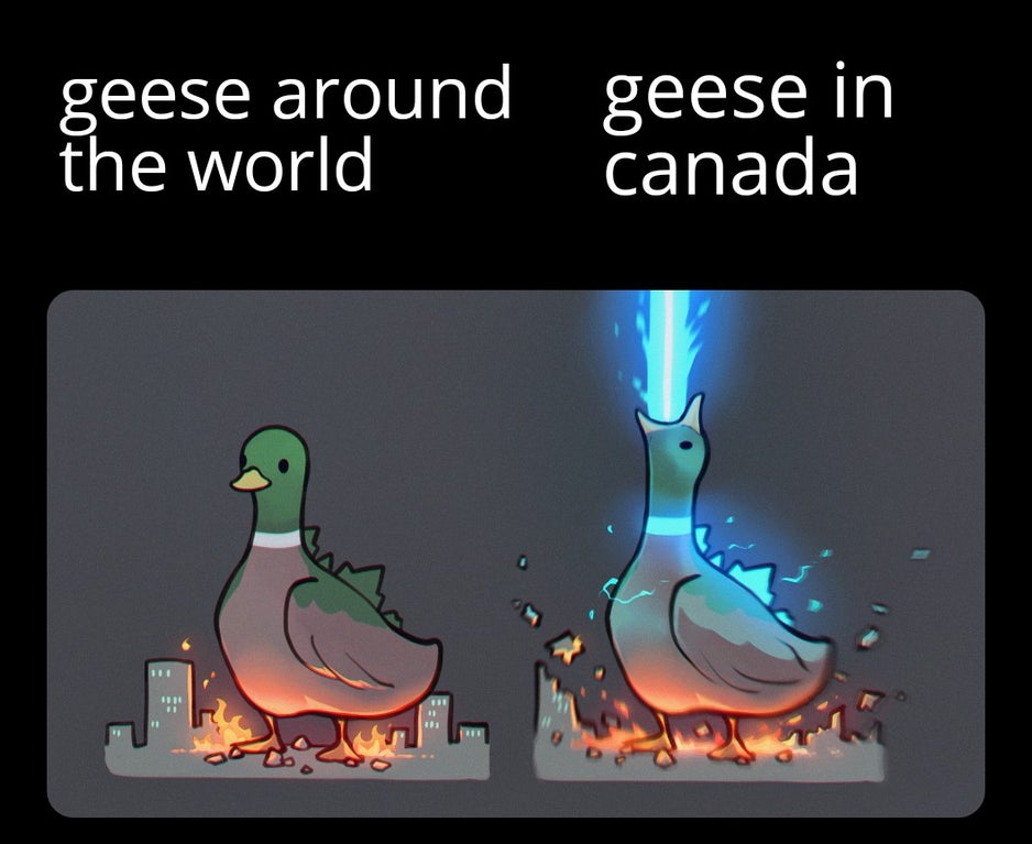 water - geese around geese in the world canada doo