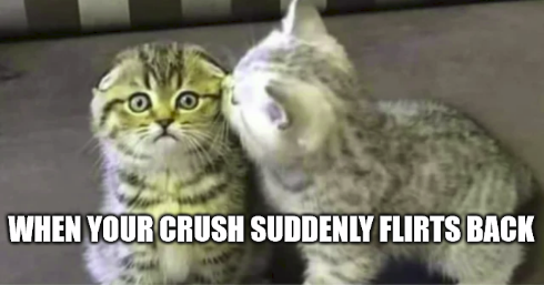 fauna - When Your Crush Suddenly Flirts Back