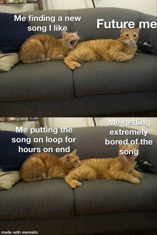 funny memes animals 2021 - Me finding a new Future me song I Me putting the song on loop for hours on end Me getting extremely bored of the song made with mematic