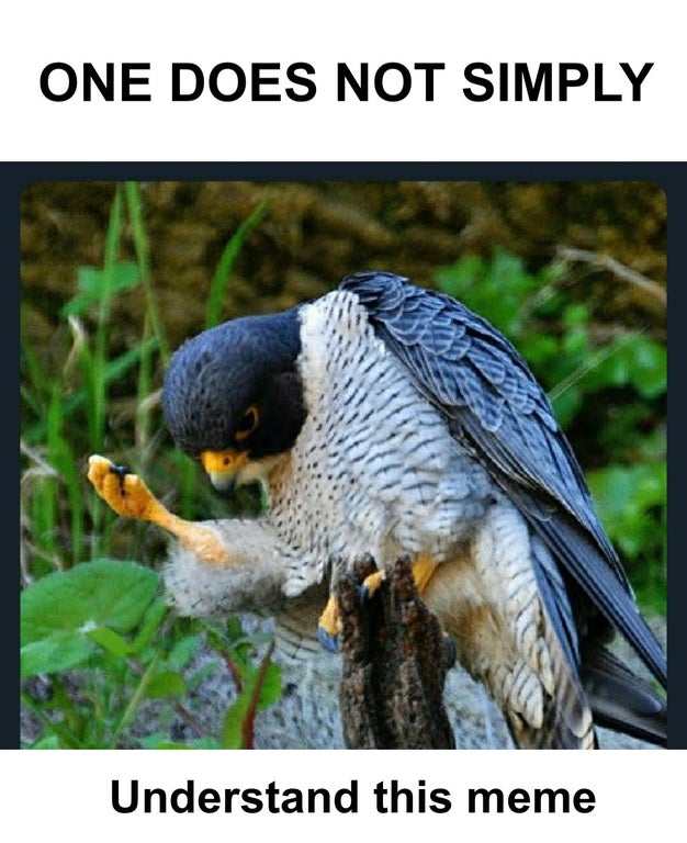 bird meme to be or not - One Does Not Simply Understand this meme