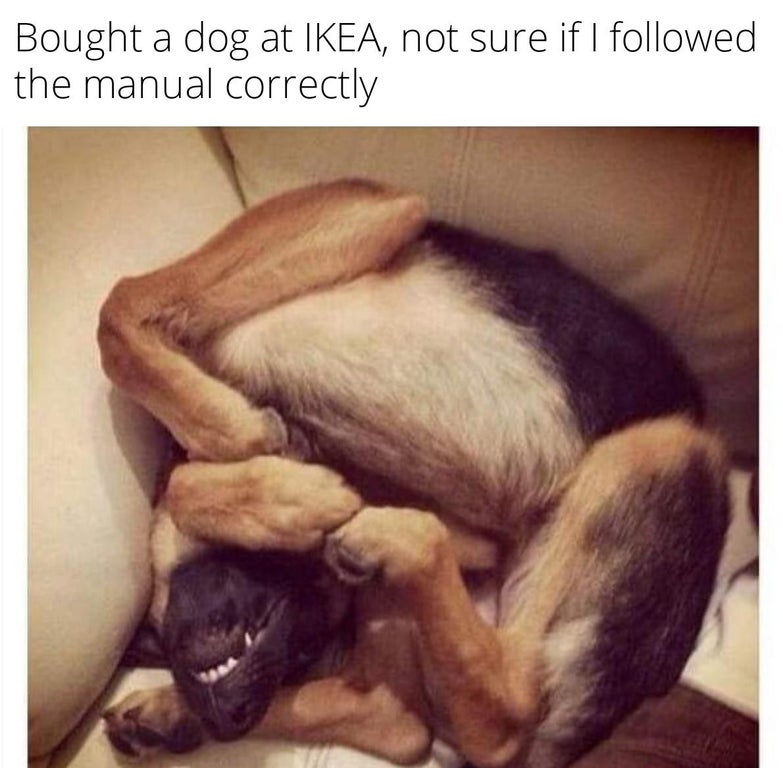 dog assembled wrong - Bought a dog at Ikea, not sure if I ed the manual correctly