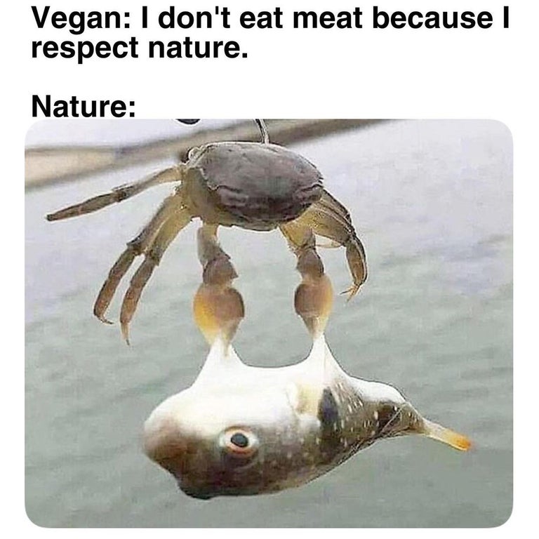 fauna - Vegan I don't eat meat because I respect nature. Nature