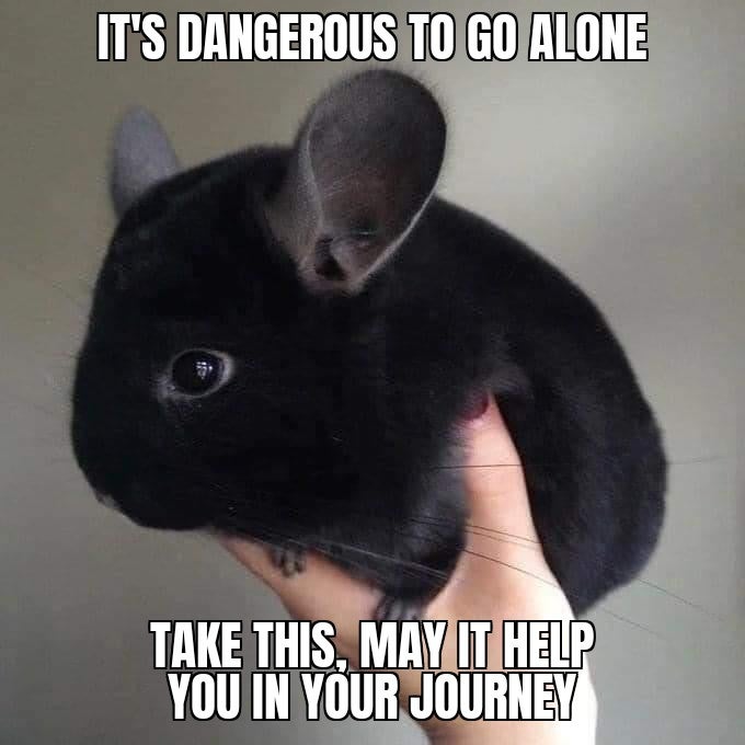 photo caption - It'S Dangerous To Go Alone Take This, May It Help You In Your Journey