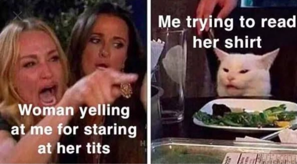 woman yelling at cat meme 2019 - Me trying to read her shirt Woman yelling at me for staring at her tits H