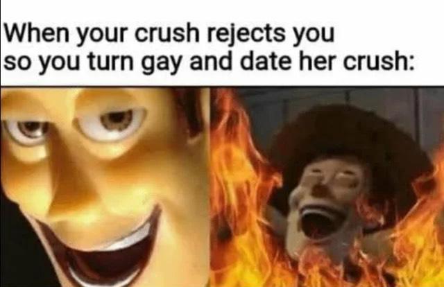woody meme - When your crush rejects you so you turn gay and date her crush