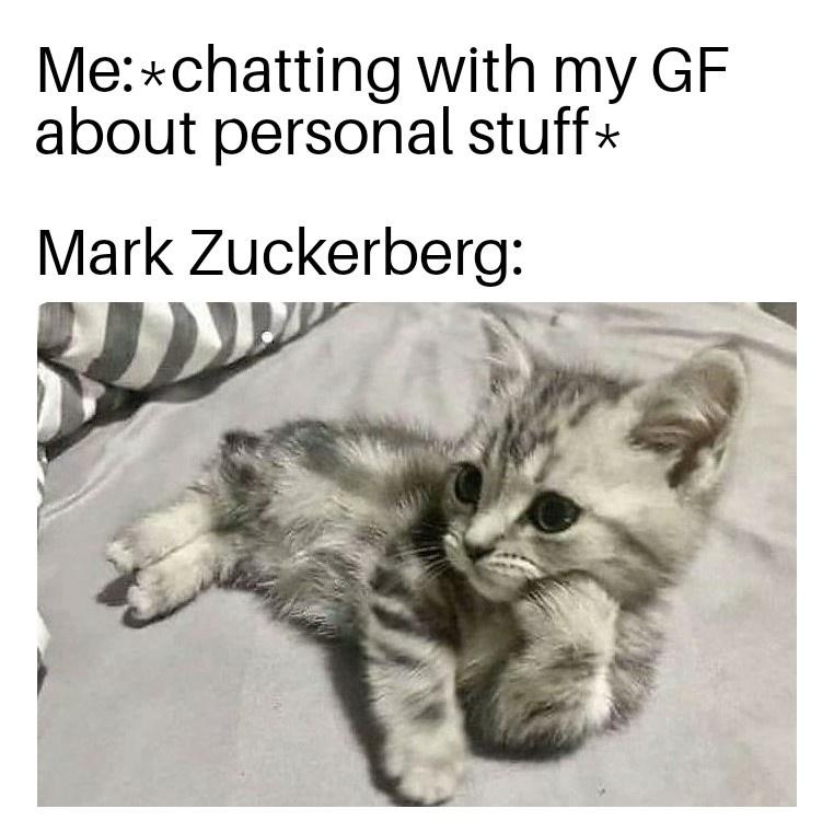 my cat listening to my rants - Mechatting with my Gf about personal stuff Mark Zuckerberg
