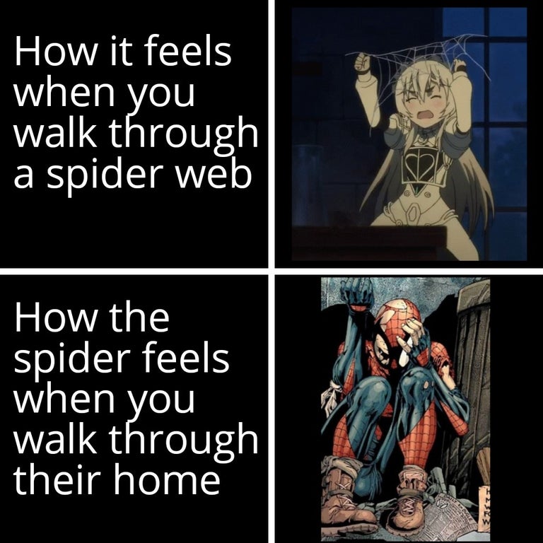 cartoon - How it feels when you walk through a spider web How the spider feels when you walk through their home Es res 322