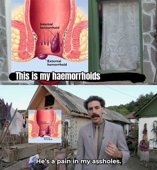 Pain - Internal hemorrhoid External hemorrhoid This is my haemorrhoids larreal les Ferrante He's a pain in my assholes.