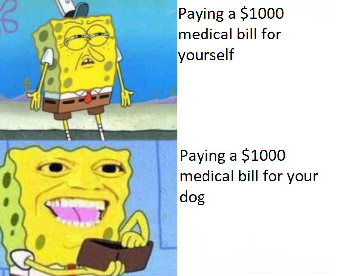 parents when a game costs $60 - Paying a $1000 medical bill for yourself W Paying a $1000 medical bill for your dog