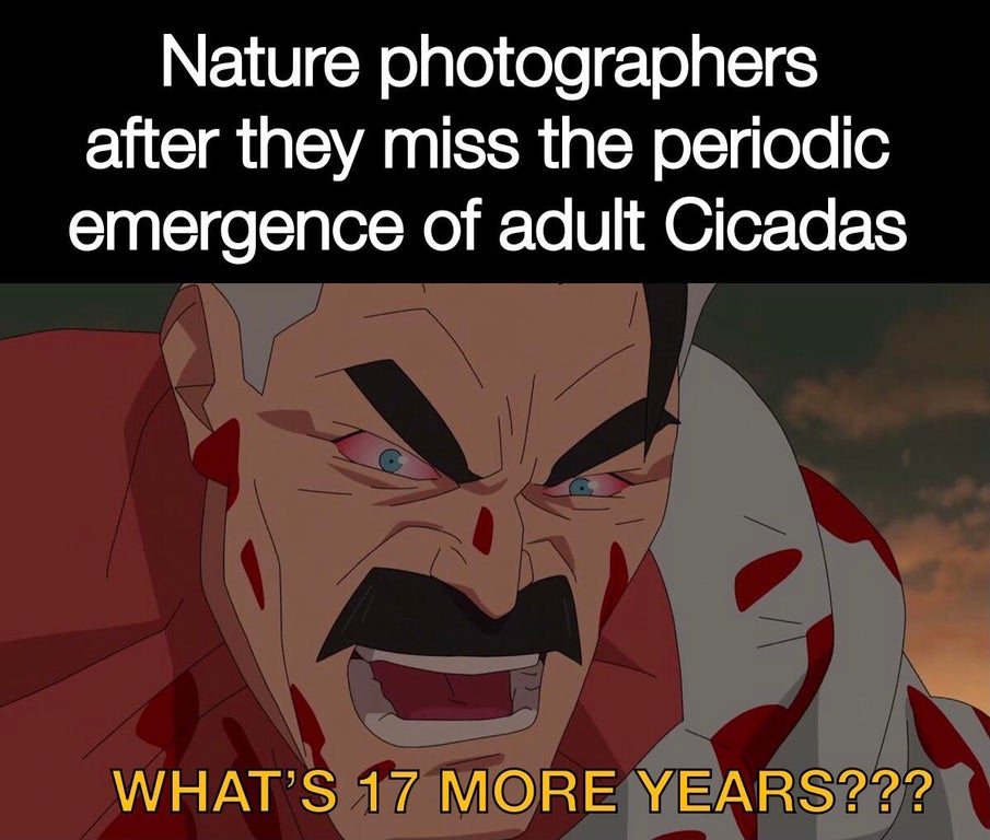 cartoon - Nature photographers after they miss the periodic emergence of adult Cicadas What'S 17 More Years???