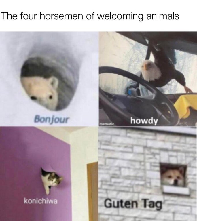 bonjour howdy konichiwa - The four horsemen of welcoming animals Bonjour howdy mematic konichiwa Guten Tag