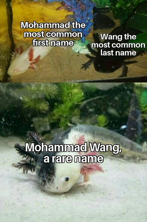 ranboo axolotl - Mohammad the most common Wang the first name most common last name Mohammad Wang, a rare name