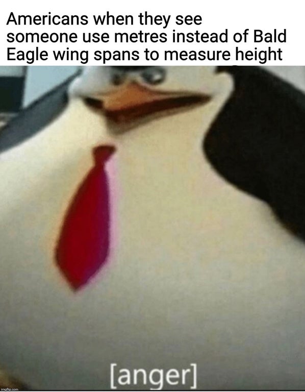 meme formats 2019 - Americans when they see someone use metres instead of Bald Eagle wing spans to measure height anger