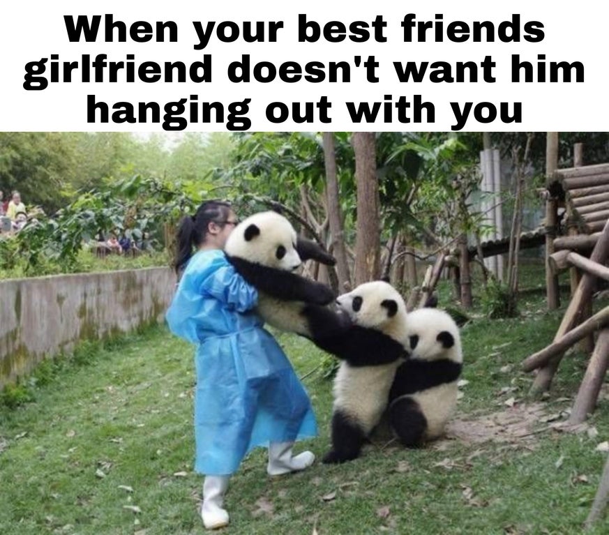 funny meme chaos - When your best friends girlfriend doesn't want him hanging out with you