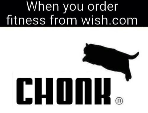 graphics - When you order fitness from wish.com Chonk