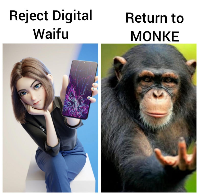 reject humanity return to monke - Return to Reject Digital Waifu Monke