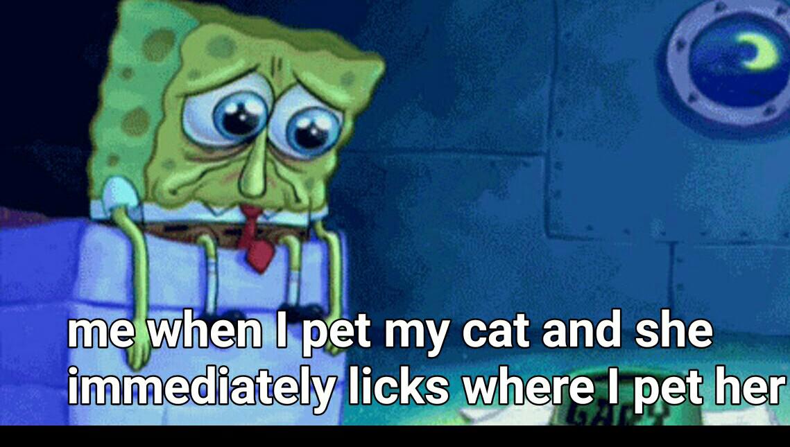 sad gary come home - me when I pet my cat and she immediately licks where I pet her