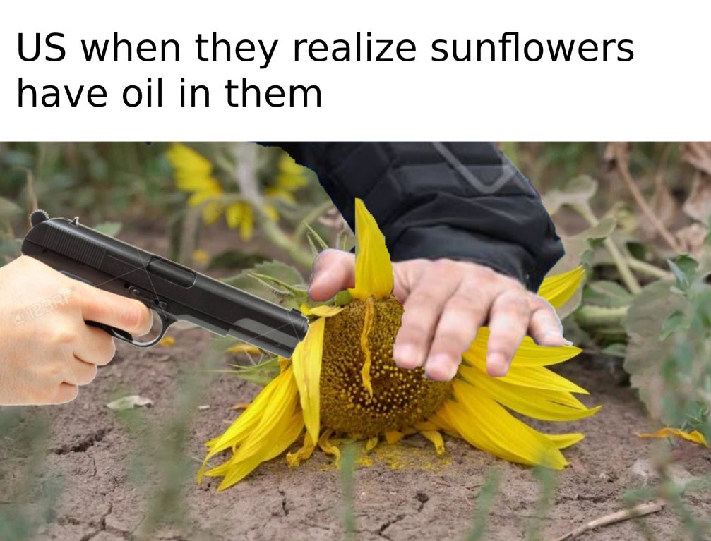 photo caption - Us when they realize sunflowers have oil in them 1P3RF