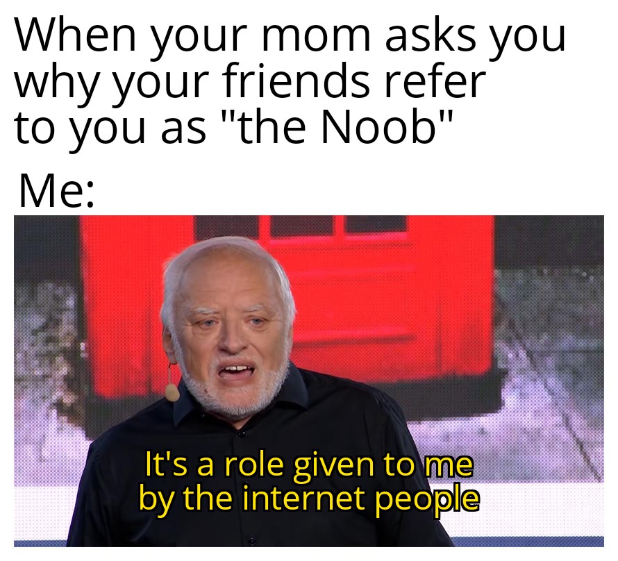 2024 memes - When your mom asks you why your friends refer to you as "the Noob" Me It's a role given to me by the internet people