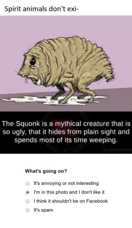 squonk meme - Spirit animals don't exi The Squonk is a mythical creature that is so ugly, that it hides from plain sight and spends most of its time weeping. .comacisel What's going on? It's annoying or not interesting I'm in this photo and I don't it I t